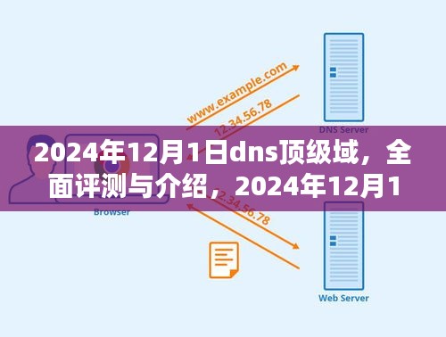 2024年DNS顶级域全面评测与介绍，特性及使用体验