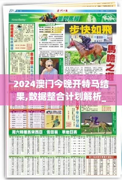 2024澳门今晚开特马结果,数据整合计划解析_安全制89.349