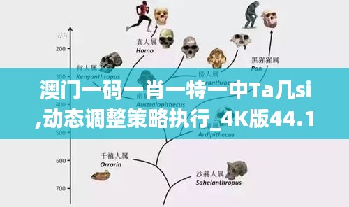 澳门一码一肖一特一中Ta几si,动态调整策略执行_4K版44.102