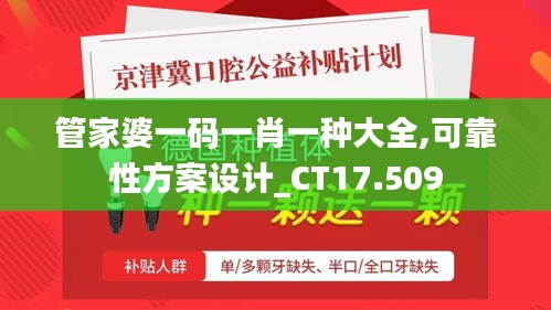 管家婆一码一肖一种大全,可靠性方案设计_CT17.509