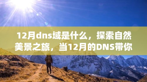 12月DNS域引领的自然美景探索之旅，追寻内心的宁静与平和