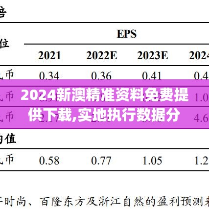 2024新澳精准资料免费提供下载,实地执行数据分析_冠军版74.49