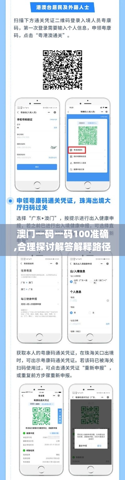 澳门一码一码100准确,合理探讨解答解释路径_实习版43.371