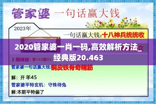 2020管家婆一肖一码,高效解析方法_经典版20.463