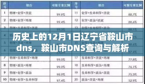 历史上的12月1日辽宁省鞍山市dns，鞍山市DNS查询与解析，历史上的12月1日探索之旅