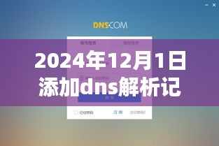 技术革新下的网络时代里程碑，2024年DNS解析记录的添加与解析记录里程碑日期确定