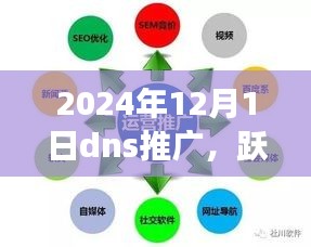 跃向未来网络浪潮，2024年DNS推广重塑学习变革之旅