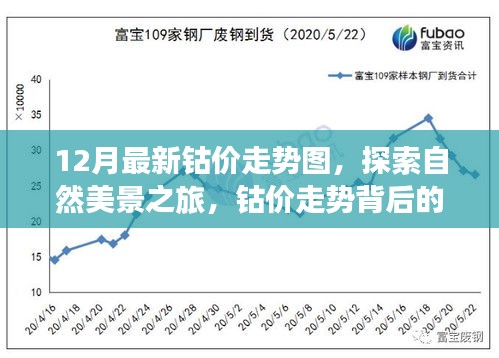 钴价走势背后的故事，探索自然美景之旅，寻找内心的平静与喜悦的启示