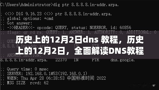 2024年12月2日 第3页