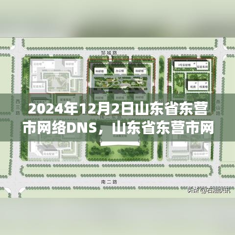 山东省东营市网络DNS解析服务展望，2024年深度解析报告