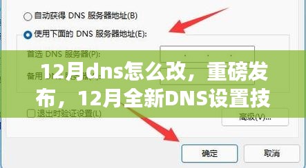 重磅发布，引领网络时代新纪元，12月全新DNS设置技术详解