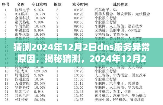 揭秘与解析，预测2024年12月2日DNS服务异常的可能原因及应对策略深度探讨