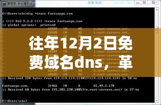 革命性智能DNS域名体验，免费域名dns科技魔力，12月新宠来袭