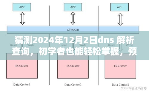 进阶版DNS解析查询步骤指南，2024年12月2日初学者也能轻松掌握预测未来技能