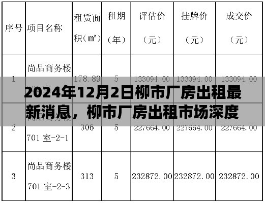 柳市厂房出租市场深度解析与最新消息（2024年12月版）