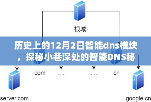 探秘历史尘埃中的智能DNS秘境，隐藏在巷子深处的特色小店历程回顾