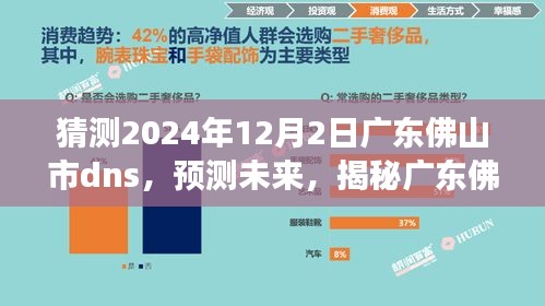 揭秘广东佛山市DNS走向，预测未来至2024年网络新纪元展望与DNS猜测报告