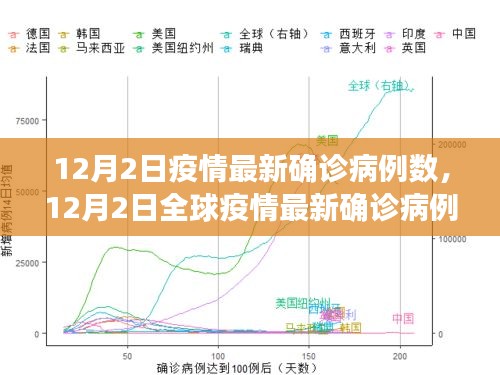 全球疫情最新动态，12月2日确诊病例数分析报告