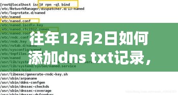 2024年12月4日 第10页