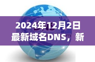 2024年12月4日 第9页