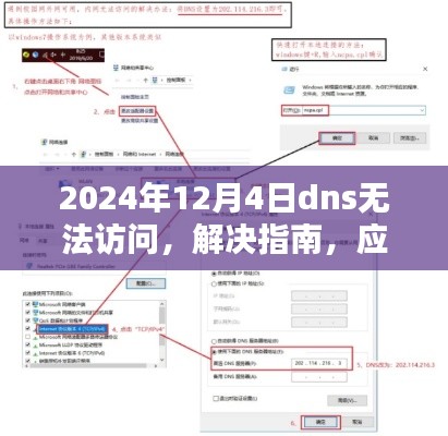 应对DNS无法访问危机，2024年12月4日的解决方案指南