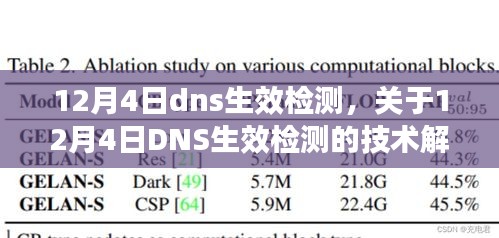 关于12月4日DNS生效检测的技术解析与探讨要点