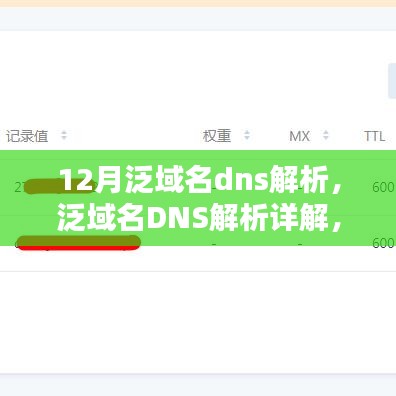 泛域名DNS解析详解，掌握十二月关键知识点与操作指南