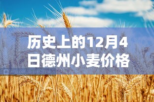 历史上的12月4日德州小麦价格最新行情深度解析