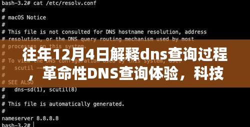 革命性DNS查询体验，解析过程重塑，引领未来生活新纪元。