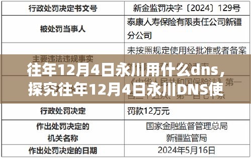 往年12月4日永川DNS使用情况探究，历史数据与观点分析