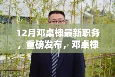 邓桌棣最新职务揭秘，引领科技革新，启动智能生活新纪元