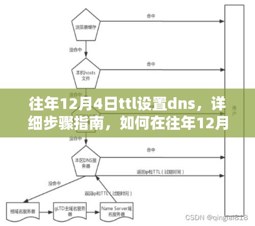 如何在往年12月4日设置TTL DNS，初学者与进阶用户的详细步骤指南