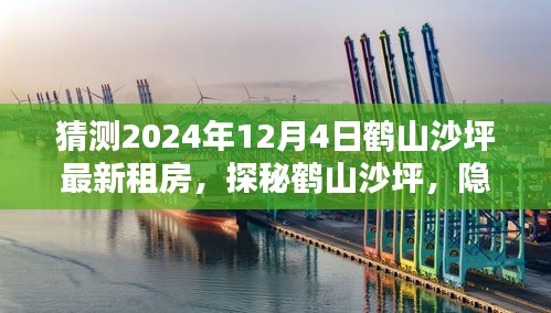 探秘鹤山沙坪，隐藏在巷弄深处的独特租房新篇章——揭秘鹤山沙坪最新租房趋势（2024年12月4日）