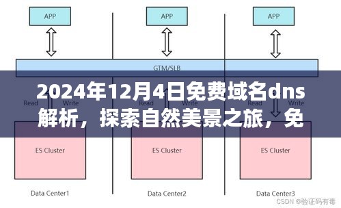 免费域名DNS解析之旅，探索自然美景，启程寻找内心宁静（2024年12月4日）