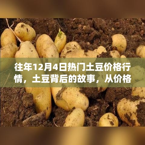 土豆背后的故事，从价格行情到自信成长的启示历程回顾与展望