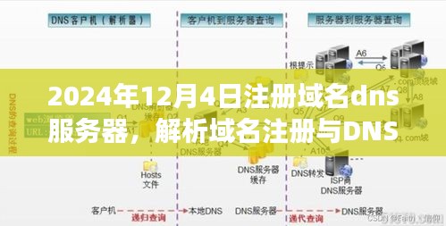 从2024年视角看域名注册与DNS服务器部署的发展趋势，解析与部署策略