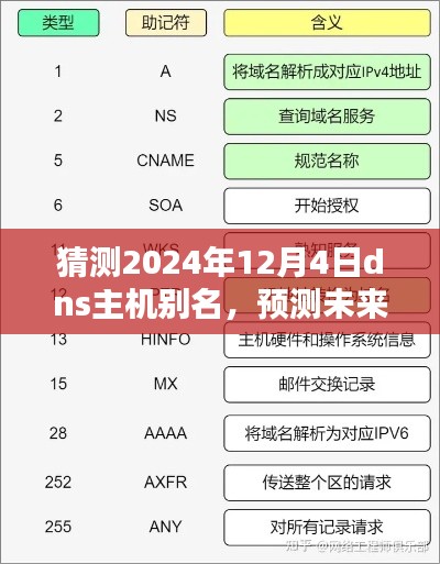 解析并设置DNS主机别名步骤指南，预测未来技能，初学者与进阶用户必备（2024年12月4日预测版）