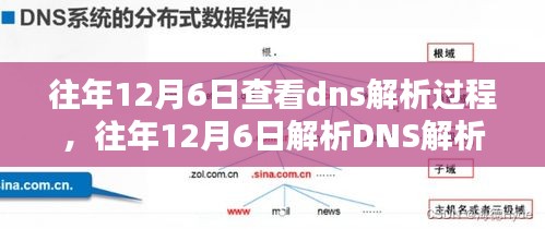 深入了解域名系统运作机制，解析DNS解析过程于往年12月6日揭秘