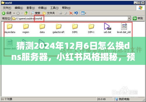 小红书风格揭秘，2024年DNS服务器更换指南，提前预测未来DNS更换趋势！
