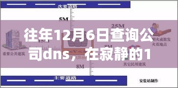 探寻公司DNS背后的自然秘境之旅，寂静的12月6日DNS探索之旅