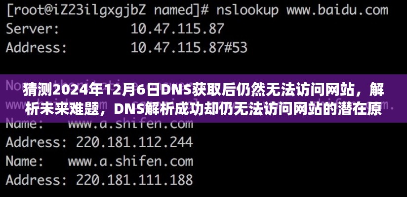 解析未来难题，DNS解析成功却仍无法访问网站的潜在原因及应对策略（预测至2024年12月6日）