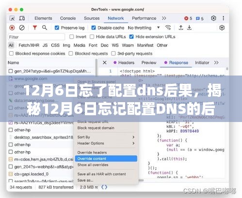 揭秘，12月6日忘记配置DNS的后果及科普解析一网打尽