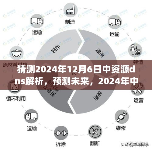 建议，预测未来，中资源DNS解析的发展与影响，展望至2024年