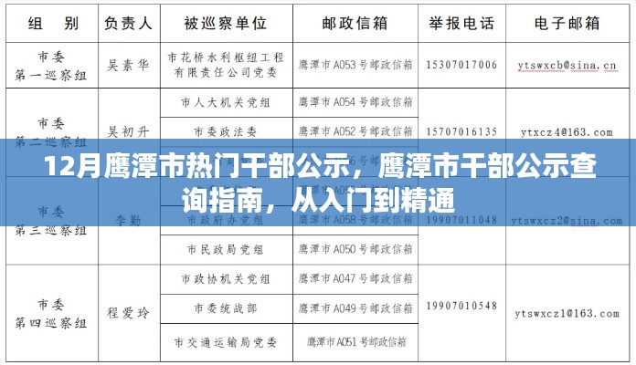 12月鹰潭市热门干部公示，鹰潭市干部公示查询指南，从入门到精通