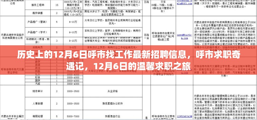 呼市求职奇遇记，最新招聘信息与温馨求职之旅在12月6日的交汇点