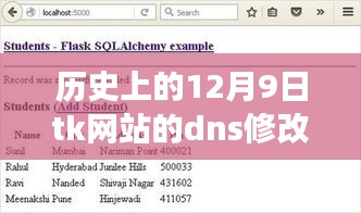TK网站DNS修改深度解析，历史上的重大变革与纪念日期回顾