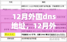 12月外国DNS地址深度分析与优劣探讨