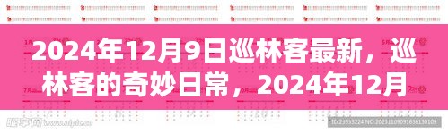 巡林客的奇妙日常，2024年12月9日的温馨探险之旅