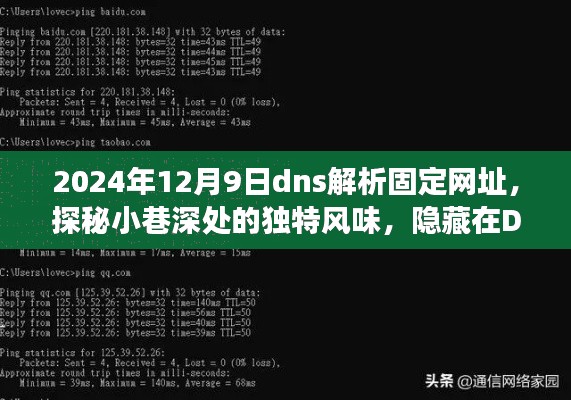 探秘DNS解析中的特色小店，隐藏在巷子深处的独特风味之旅（2024年12月9日）