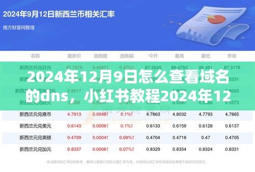 小红书教程，如何轻松查看域名的DNS设置（2024年最新指南）